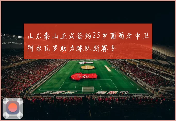 山东泰山正式签约25岁葡萄牙中卫阿尔瓦罗助力球队新赛季